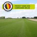 Gazon naturel en rouleau belgique