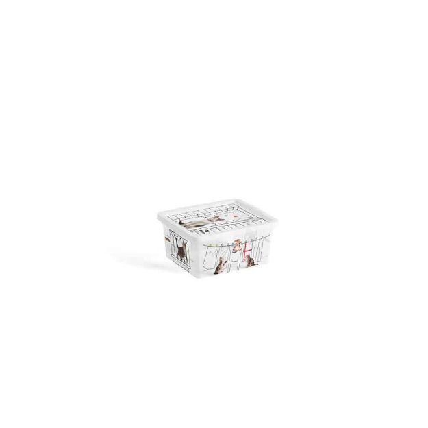 Image de PETS C-BOX BOX DE RANGEMENT XXS 2L 19,5X