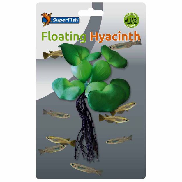 Image de SUPERFISH EASY PLANT FLOATING HYACINTH