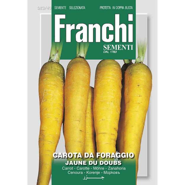 Image de Graines carotte jaune du doubs carota da foraggio - Franchi