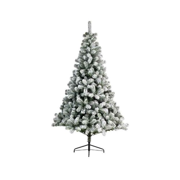 Image de sapin Imperial enneige charnie