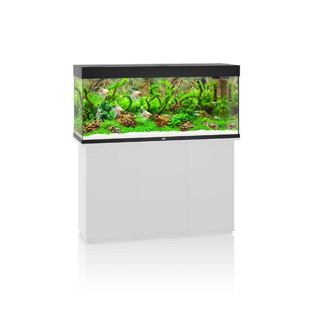 Image de Aquarium RIO 240 LED (2x led 1047mm) GRIS  JUWEL