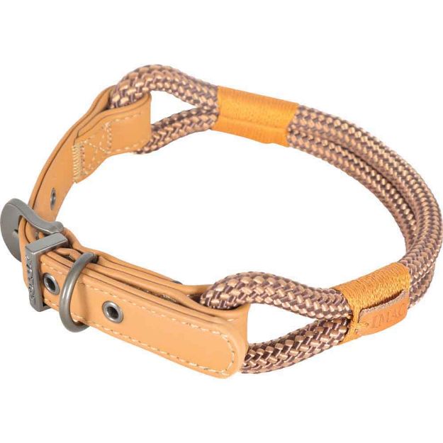 Image de collier chien reg imao hyd 9mm/50cm cho