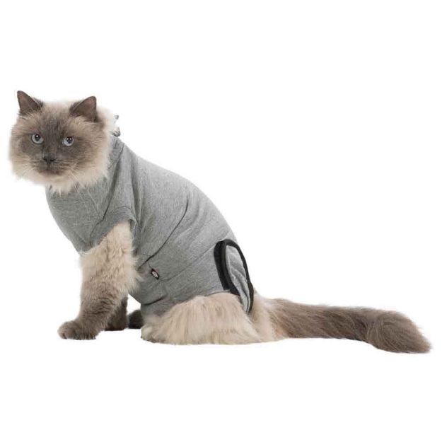 Image de Body de protection pour chats