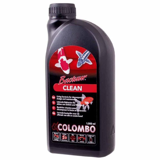 Image de COLOMBO BACTUUR CLEAN 500ML