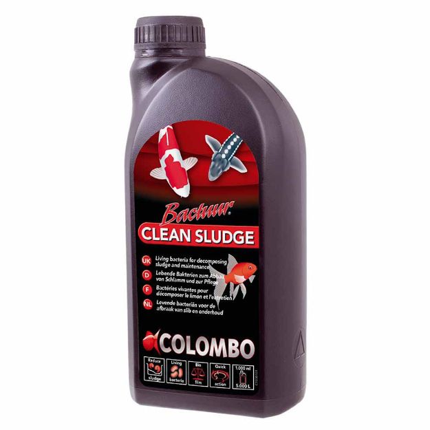 Image de COLOMBO BACTUUR CLEAN 1000ML