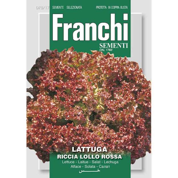 Image de Graines laitue lattuga lollo rossa - Franchi