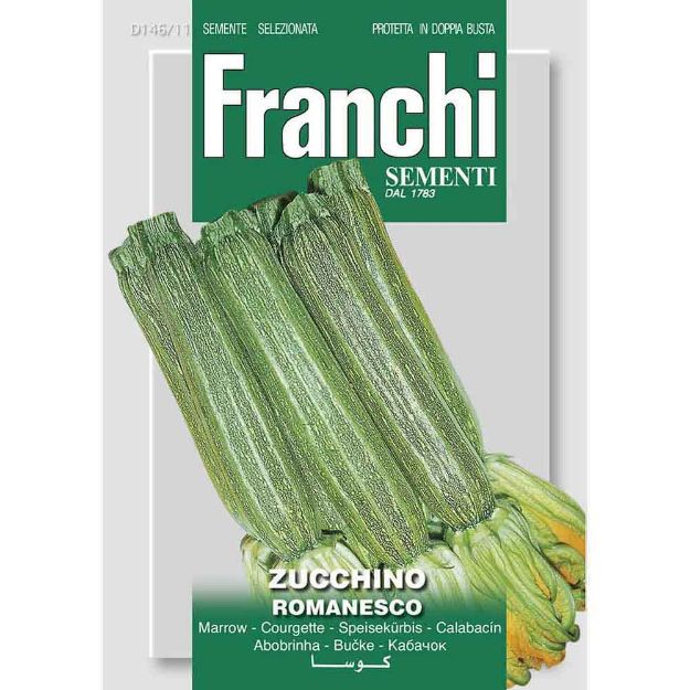 Image de Graines courgette zucchino romanesco - Franchi