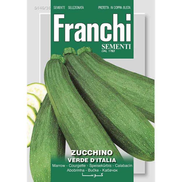 Image de Graines courgette zucchino verde italia - Franchi