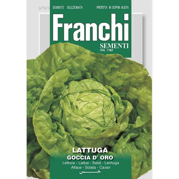 Image de Graines laitue lattuga goccia d'oro - Franchi