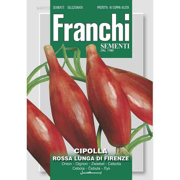 Image de Graines oignon cipolla rossa lunga di firenze - Franchi