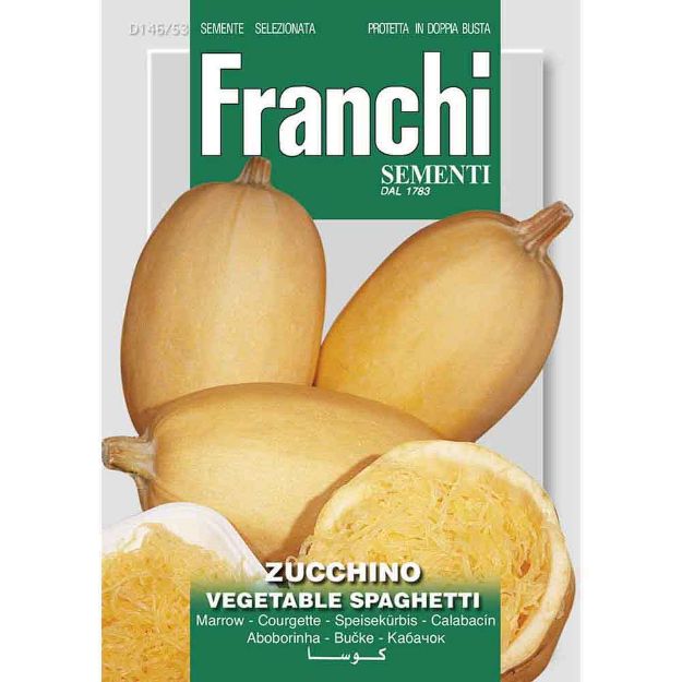 Image de Graines courgette spaghetti - Franchi