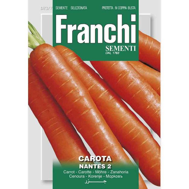 Image de Graines carottes carota nantes- Franchi