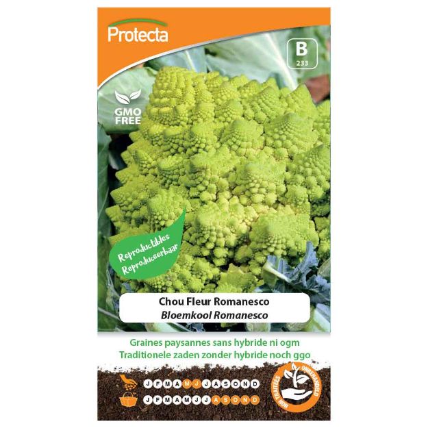 Image de Graines de chou fleur romanesco - Protecta