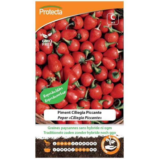 Image de Graines de piment ciliegia piccante - Protecta