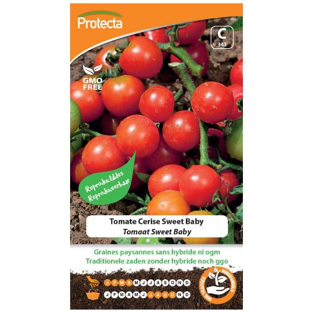 Image de Graines de tomate cerise sweet baby - Protecta