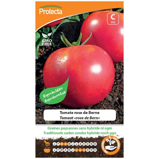 Image de Graines de tomate rose de berne - Protecta