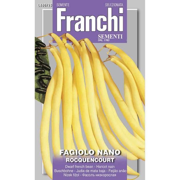 Image de Graines haricot nain rocquencourt - Franchi