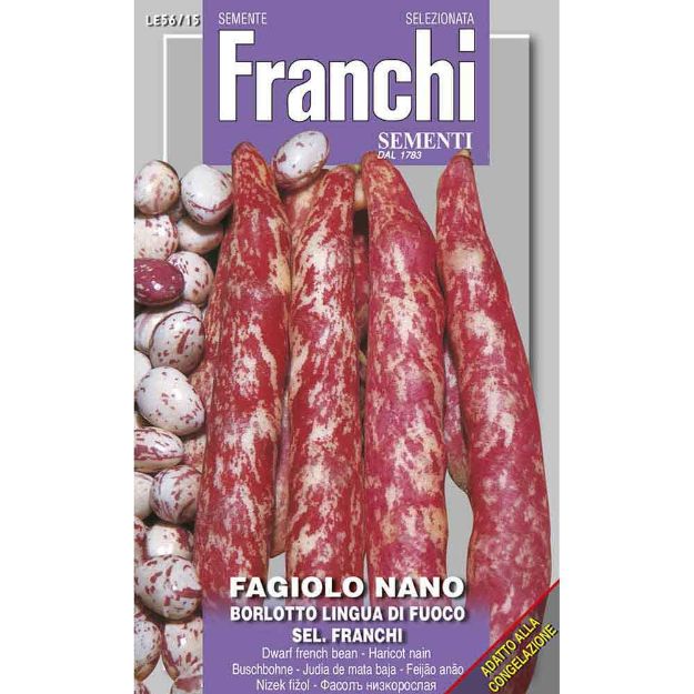 Image de Graines haricot nain lfuoco franchi - Franchi