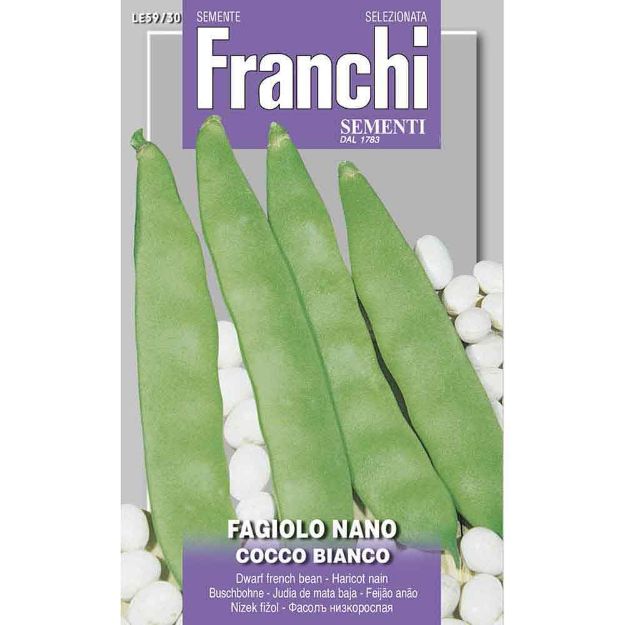 Image de Graines haricot nain cocco bianco - Franchi