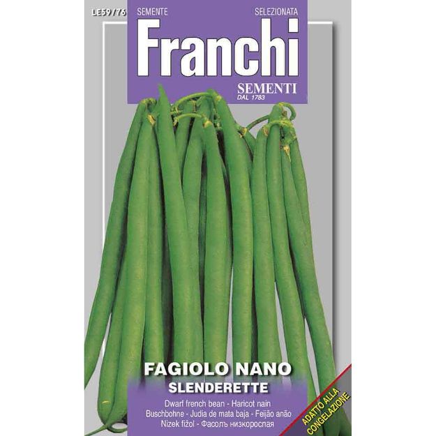 Image de Graines haricot nain sderette - Franchi