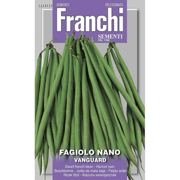 Image de Graines haricot nain vanguard - Franchi