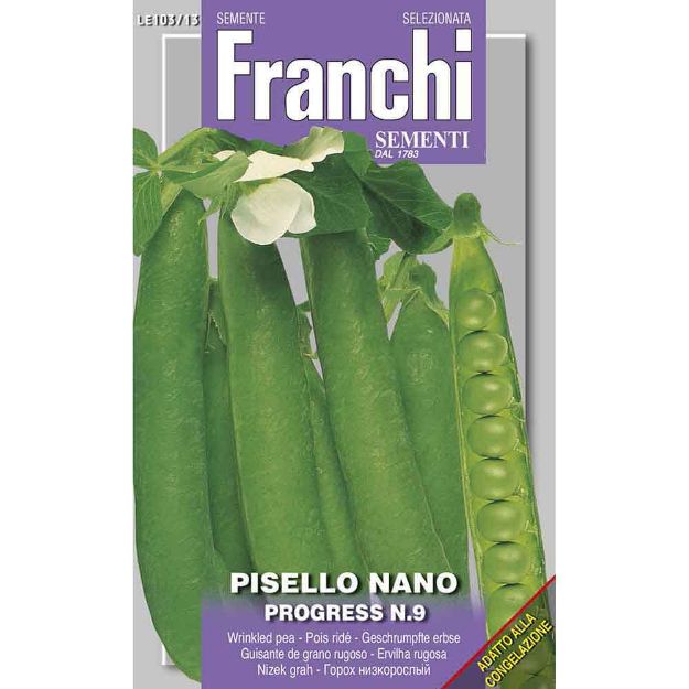 Image de Graines pois nano progress- Franchi