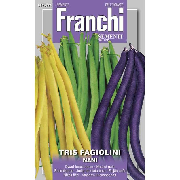 Image de Graines haricot nain tris fagiolini - Franchi