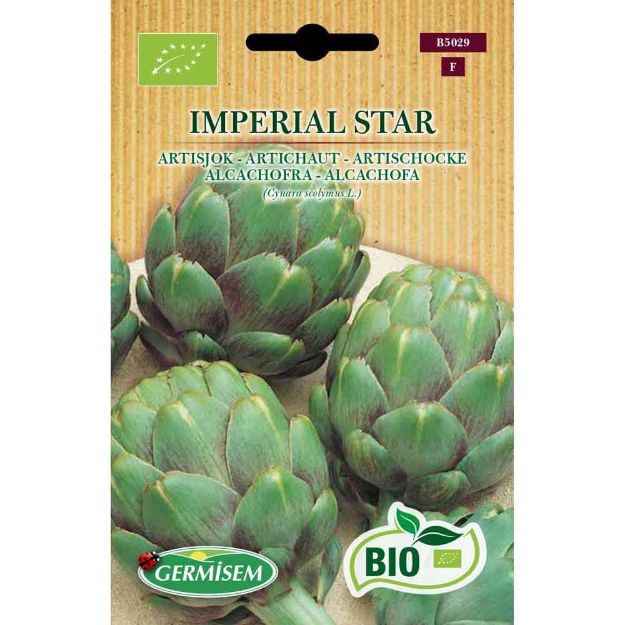 Image de Graines bio d' artichaut imperial star