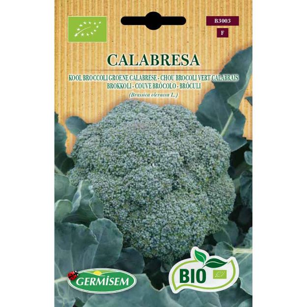 Image de Graines bio de chou brocoli vert calabrais