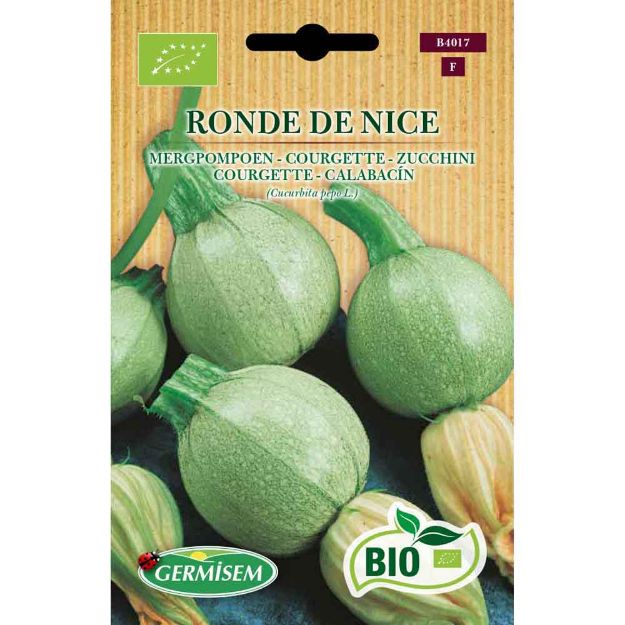 Image de Graines bio de courge ronde de nice