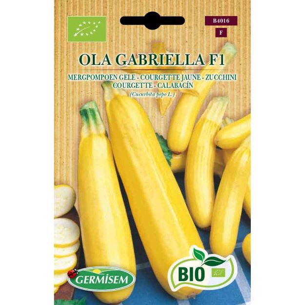 Image de Graines bio de courgette jaune ola gabriella f1