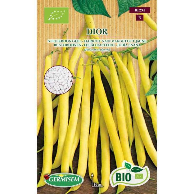 Image de Graines bio d' haricot nain mangetout jaune dior