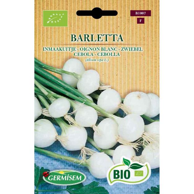 Image de Graines bio d' oignon blanc barletta