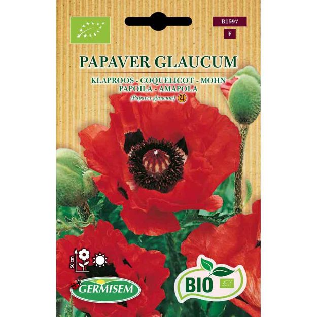 Image de Graines bio de pavot (coquelicot)