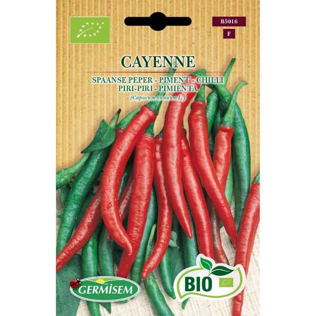 Image de Graines bio de piment cayenne