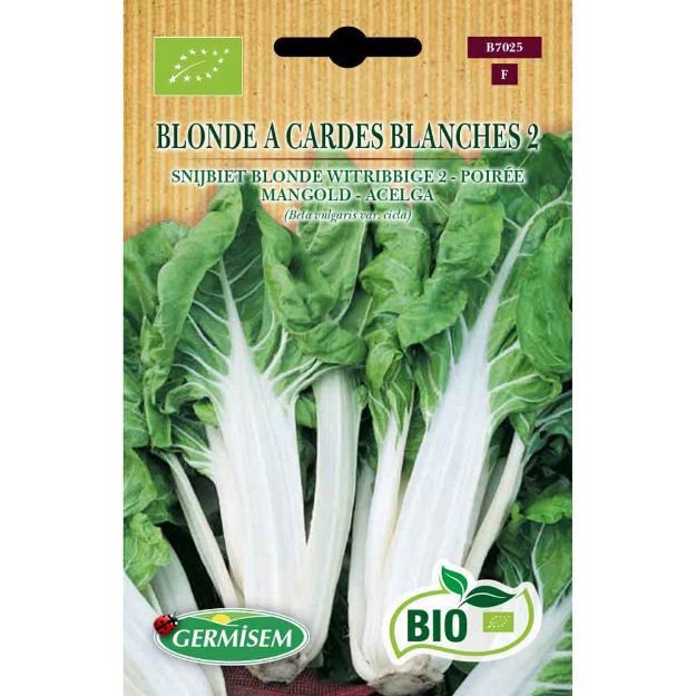 Image de Graines bio de poirée blonde à cardes blanches 2