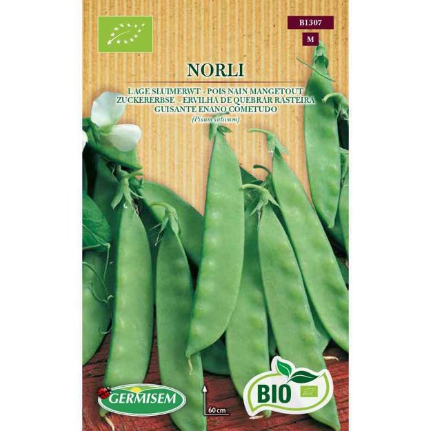 Image de Graines bio de pois nain mangetout norli