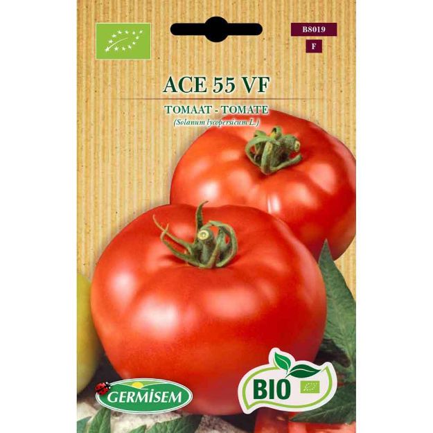 Image de Graines bio de tomate ace 55 vf