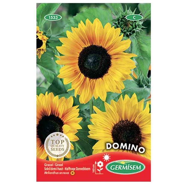 Image de Graines d'helianthus (soleil) domino