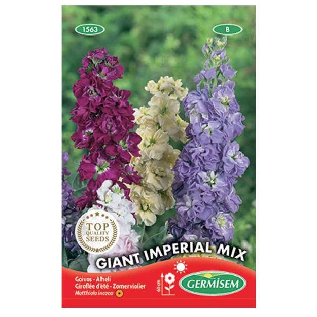 Image de Graines de matthiola (giroflée) giant imperial varié