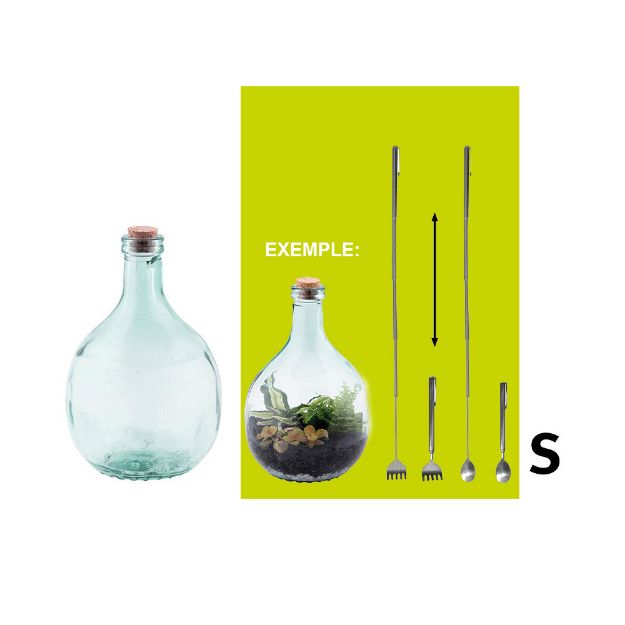 Image de Bouteille terrarium 15L set