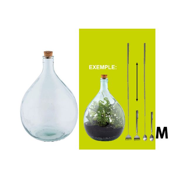 Image de Bouteille terrarium 35 L set