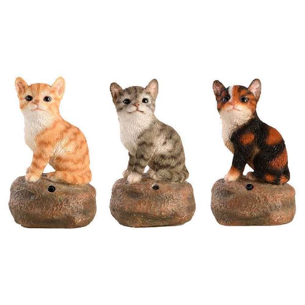 Image de Chatons d'acceuil ass. 6,8x6,0x11,8 cm