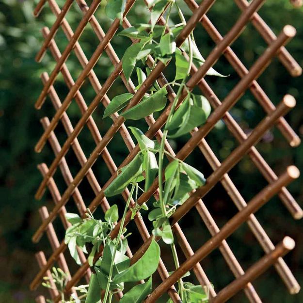 Image de Trellis extensible en osier naturel Naturel  1x2m