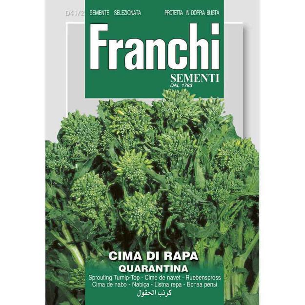 Image de Graines feuille de navet cima di rapa - Franchi