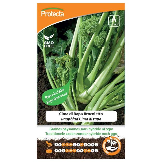 Image de Graines de cima di rapa brocoletto - Protecta