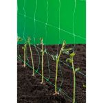 Image de FILET A RAMER VERT - 2 X 5 M