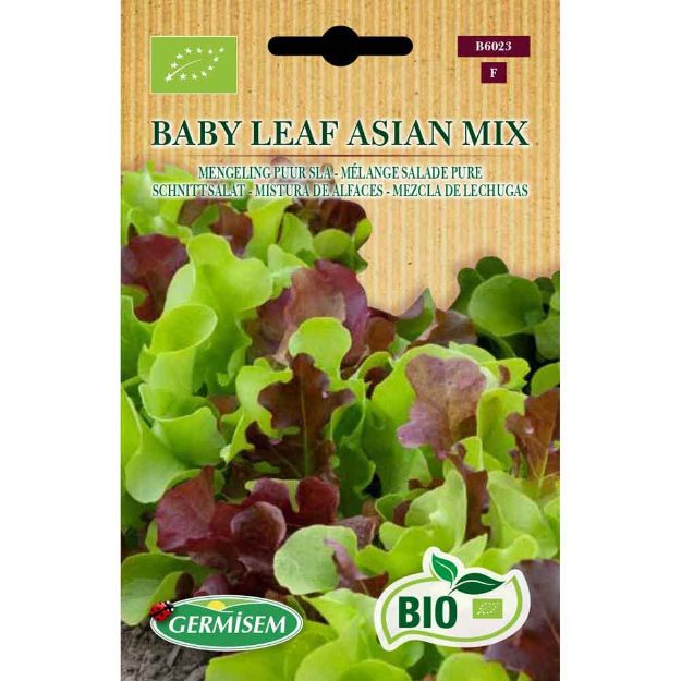 Image de Graines bio de mélange baby leaf salade pure