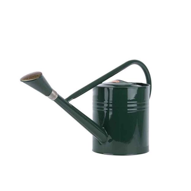 Image de Arrosoir vert 7,5ltr